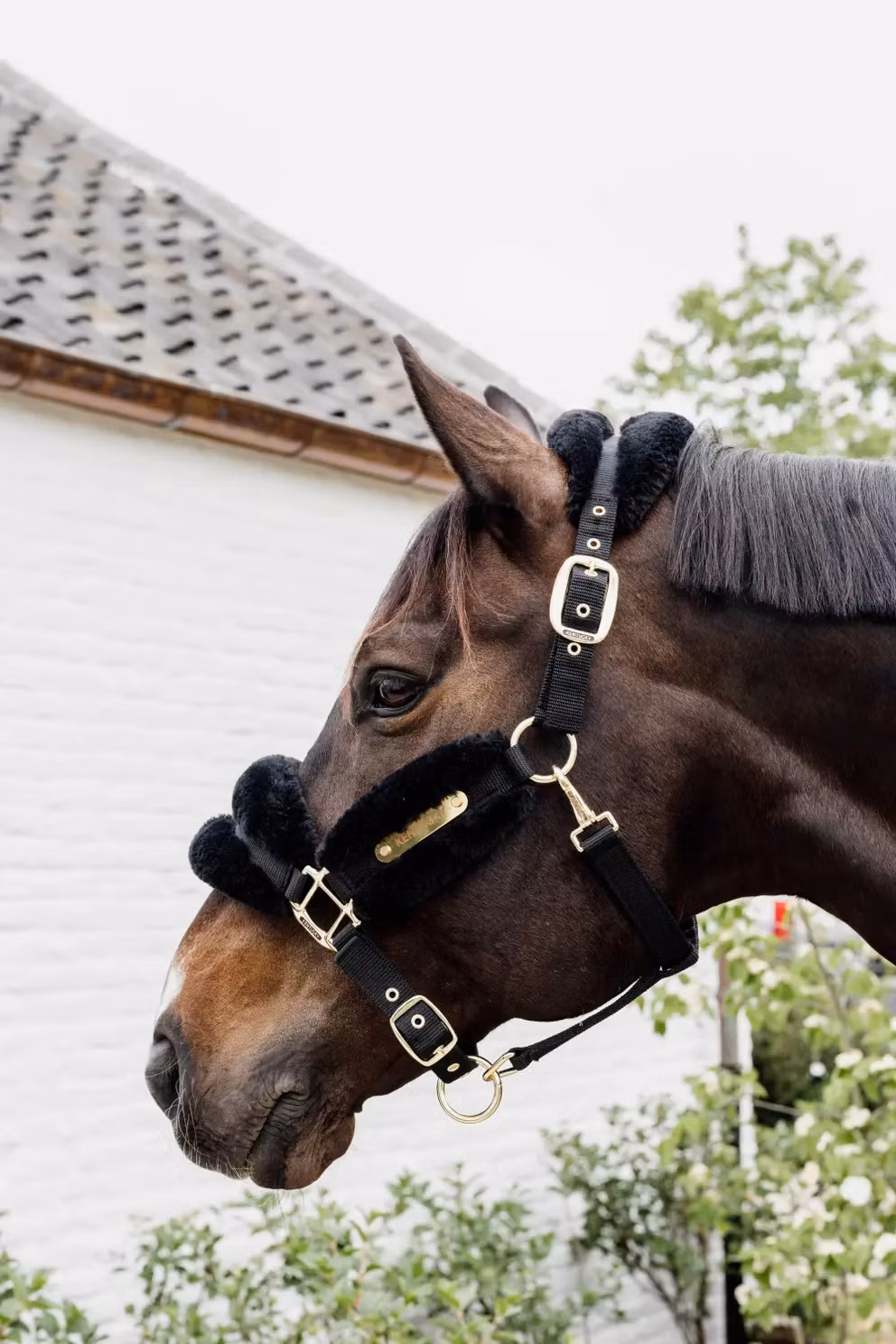 Kentucky Nylon Sheepskin Halter Soft