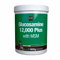Glucosamine 12.000 Plus MSM