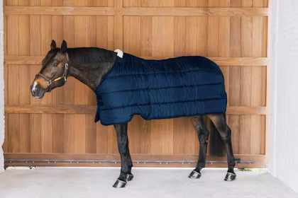 Turnout Rug Comfort Liner 100-400g