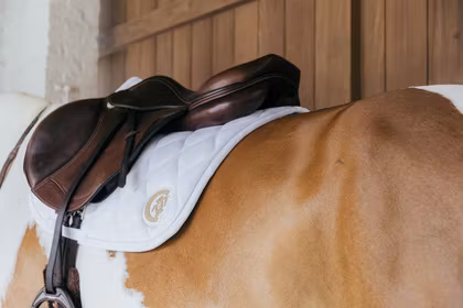 Kentucky Saddle Pad Wave Jumping 3D