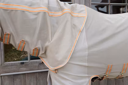 Kentucky Mesh Fly Rug Comfort