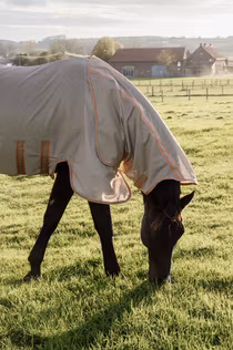 Kentucky Mesh Fly Rug Comfort