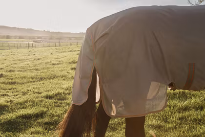 Kentucky Mesh Fly Rug Comfort