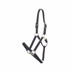 Kentucky Nylon Halter Breakaway