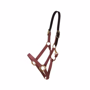 Kentucky Nylon Halter Breakaway