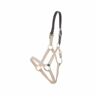 Kentucky Nylon Halter Breakaway