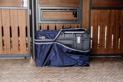 Kentucky Stanley Box Cover Classic