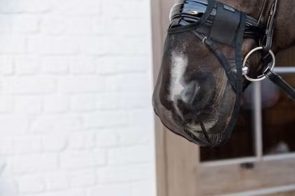 Kentucky Horsewear Anti Fly Nose Net