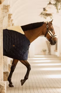 Kentucky Horsewear Stable Rug Comfort 100-300g