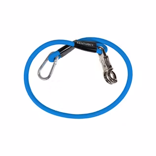 Kentucky Horsewear Horse Box Lead & Cross Ties Silicone