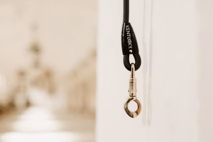 Kentucky Horsewear Horse Box Lead & Cross Ties Silicone