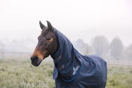 Kentucky Horsewear Neck All Weather Waterproof Comfort 0-200g