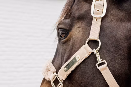 Kentucky Horsewear Teddy Fleece Halter