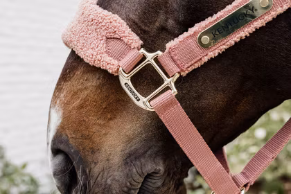 Kentucky Horsewear Teddy Fleece Halter