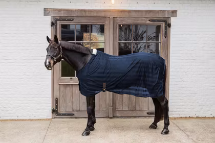 Kentucky Horsewear Light Striped Mesh Fly Sheet