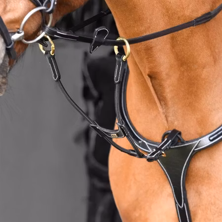 EQ Kort elastisk martingal öppningsb. ringar mässing