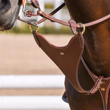 EQ Kort martingal Bib öppningsbara ringar mässing
