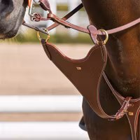 EQ Kort martingal Bib öppningsbara ringar mässing
