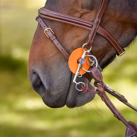 EQ Pelhamdelta med nylon