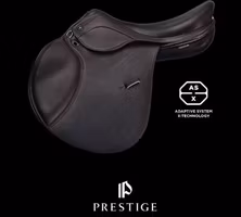 Bomändring Prestige