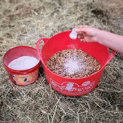 Kevin Bacon´s Stomach-Protek Assist 1,6kg