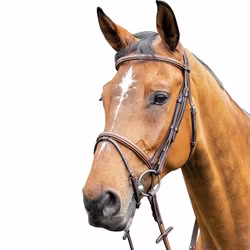 Prestige E87 Träns med komb nosgr S/S