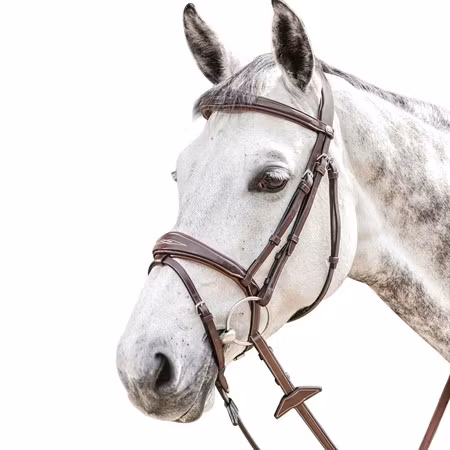 Prestige  E141 Träns komb nosgr