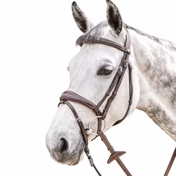 Prestige  E141 Träns komb nosgr