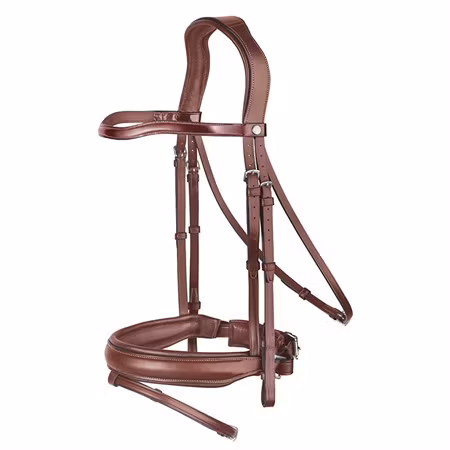 Renaissance Dressyrträns lackpannband