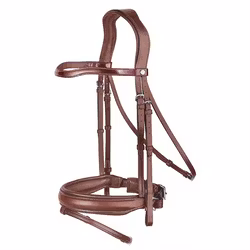 Renaissance Dressyrträns lackpannband