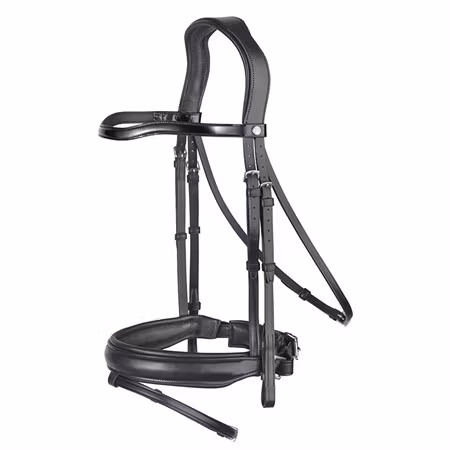 Renaissance Dressyrträns lackpannband