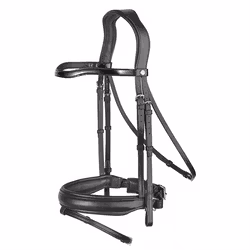 Renaissance Dressyrträns lackpannband