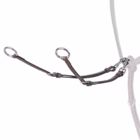 Renaissance Evo kort martingal