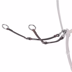 Renaissance Evo kort martingal