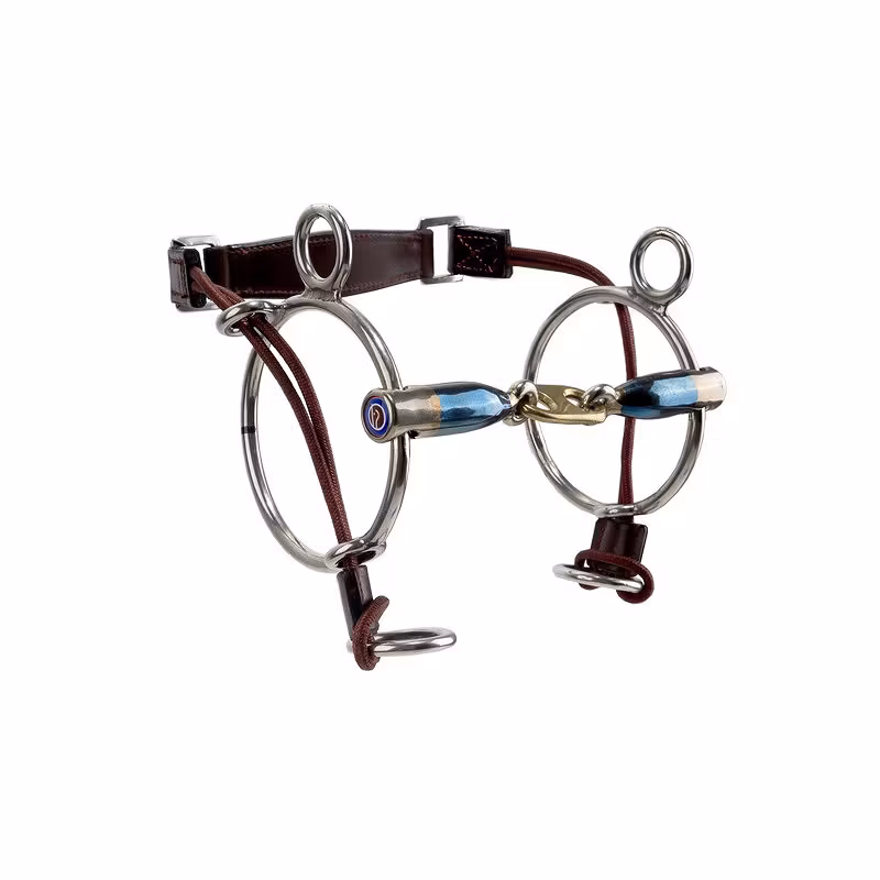 Trust Sweet Iron curbgag dr.bristol-16