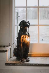 Bordslampa Hund XL Svart Poly
