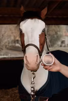 Grooming Deluxe Sunblock