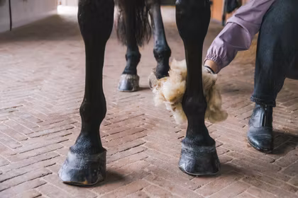 Grooming Deluxe Therapeutic Wool 150g