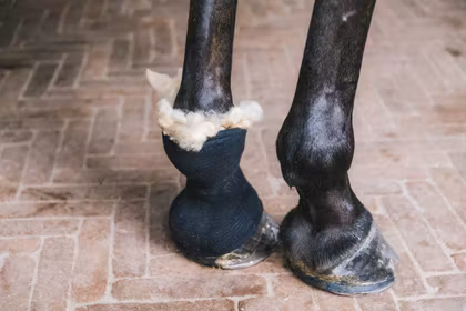 Grooming Deluxe Therapeutic Wool 150g