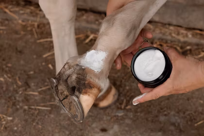 Grooming Deluxe Mud Fever Cream Plus