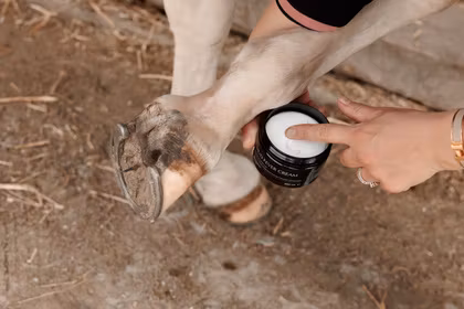 Grooming Deluxe Mud Fever Cream Plus