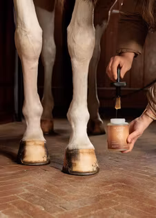 Grooming Deluxe Hoof Oil Shine