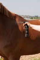 Grooming Deluxe Anti Fly Spray