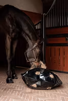 Grooming Deluxe Play & Haybag Slow Feeder Round