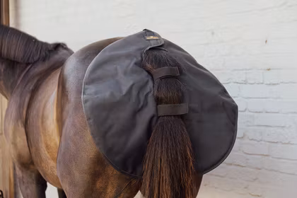 Kentucky Horsewear Quarter Guard