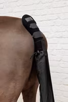 Kentucky Horsewear Tail Guard & Tail Bag