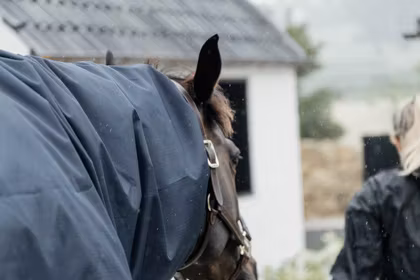 Kentucky Horsewear Waterproof Horse Scarf Classic