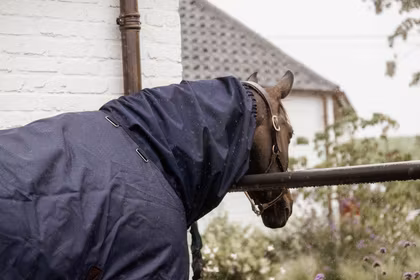 Kentucky Horsewear Waterproof Horse Scarf Classic