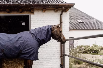 Kentucky Horsewear Waterproof Horse Scarf Classic