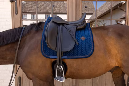 Saddle Pad Velvet Mini Peals Dressage